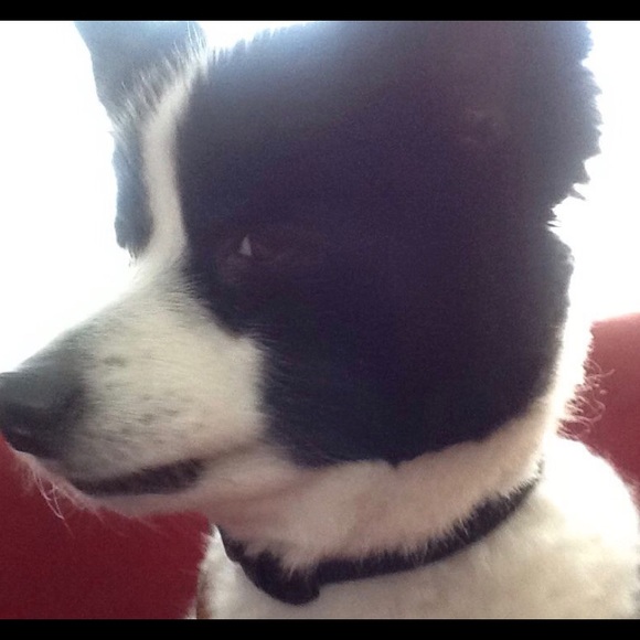 Meet your Posher, Paula - Picture 7 of 12